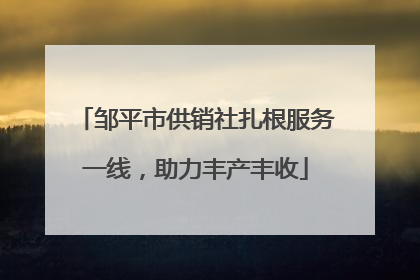 邹平市供销社扎根服务一线，助力丰产丰收