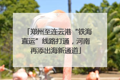 郑州至连云港“铁海直运”线路打通，河南再添出海新通道