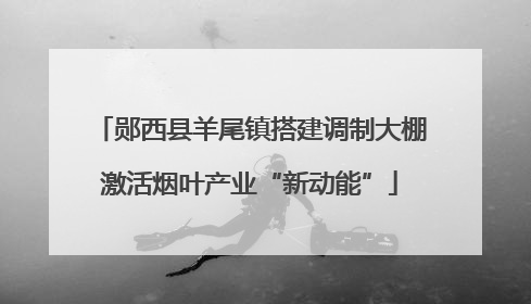 郧西县羊尾镇搭建调制大棚激活烟叶产业“新动能”