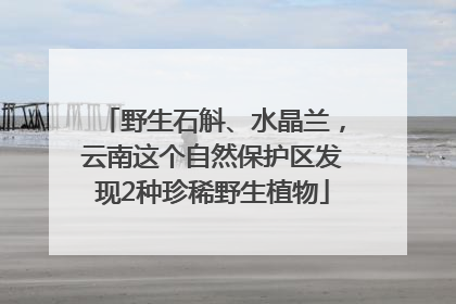 野生石斛、水晶兰，云南这个自然保护区发现2种珍稀野生植物