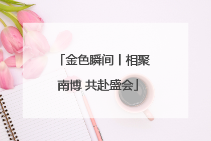 金色瞬间丨相聚南博 共赴盛会