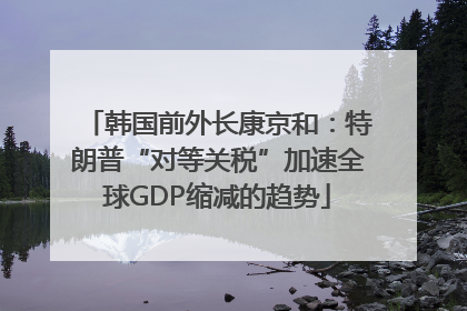 韩国前外长康京和：特朗普“对等关税”加速全球GDP缩减的趋势