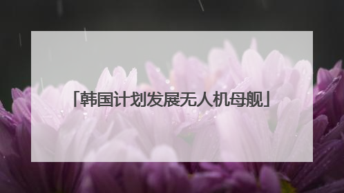 韩国计划发展无人机母舰
