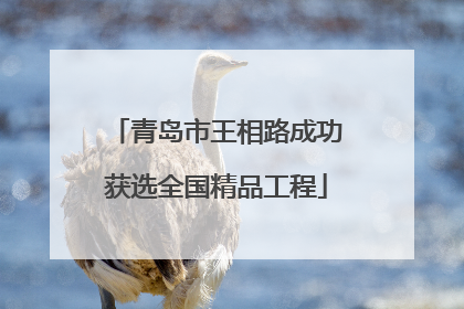青岛市王相路成功获选全国精品工程