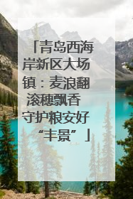 青岛西海岸新区大场镇：麦浪翻滚穗飘香 守护粮安好“丰景”