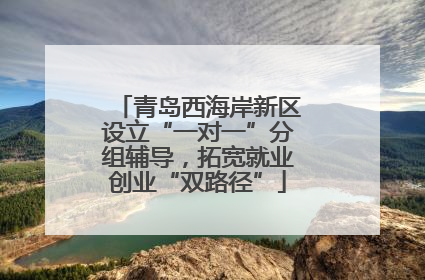 青岛西海岸新区设立“一对一”分组辅导，拓宽就业创业“双路径”