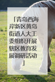 青岛西海岸新区黄岛街道人大工委组织开展辖区教育发展调研活动