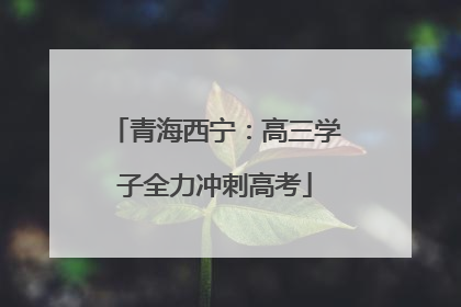 青海西宁：高三学子全力冲刺高考