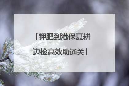 钾肥到港保夏耕 边检高效助通关