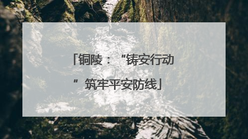 铜陵：“铸安行动”筑牢平安防线