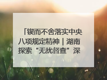 锲而不舍落实中央八项规定精神｜湖南探索“无扰督查”深化基层减负