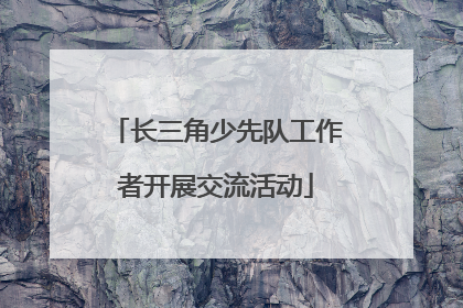 长三角少先队工作者开展交流活动