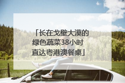 长在戈壁大漠的绿色蔬菜38小时直达粤港澳餐桌