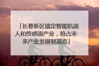长春新区锚定智能机器人和传感器产业，抢占未来产业发展制高点