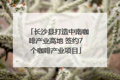 长沙县打造中南咖啡产业高地 签约7个咖啡产业项目