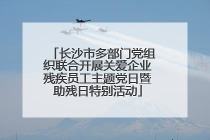 长沙市多部门党组织联合开展关爱企业残疾员工主题党日暨助残日特别活动