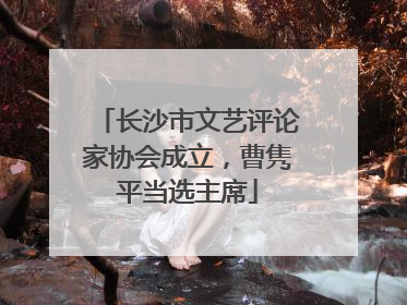 长沙市文艺评论家协会成立，曹隽平当选主席