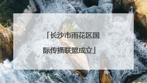 长沙市雨花区国际传播联盟成立