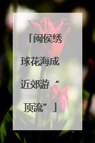 闽侯绣球花海成近郊游“顶流”