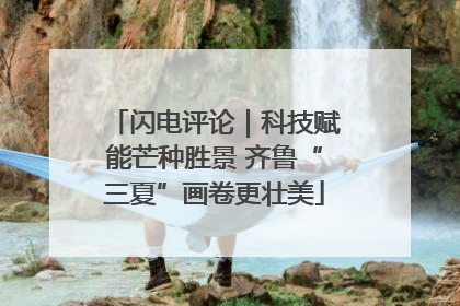 闪电评论｜科技赋能芒种胜景 齐鲁“三夏”画卷更壮美