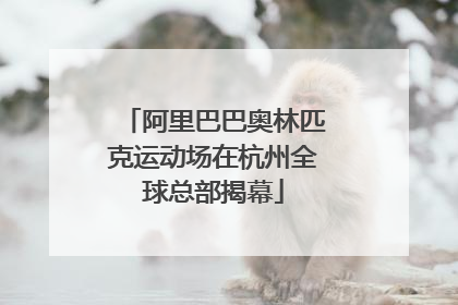 阿里巴巴奥林匹克运动场在杭州全球总部揭幕