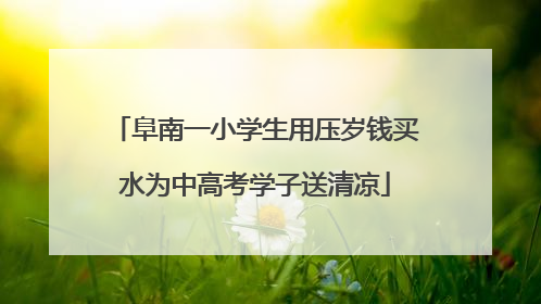 阜南一小学生用压岁钱买水为中高考学子送清凉