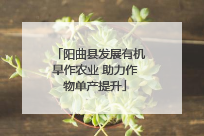 阳曲县发展有机旱作农业 助力作物单产提升