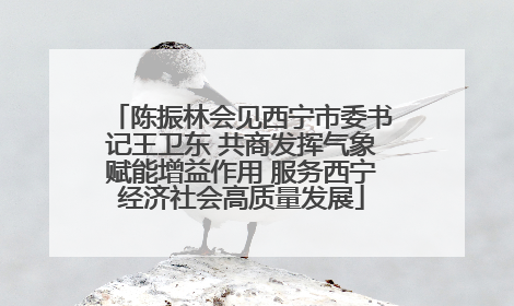 陈振林会见西宁市委书记王卫东 共商发挥气象赋能增益作用 服务西宁经济社会高质量发展