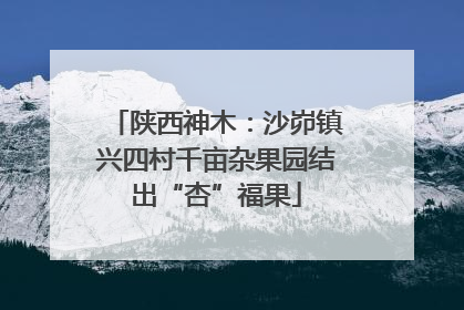 陕西神木：沙峁镇兴四村千亩杂果园结出“杏”福果