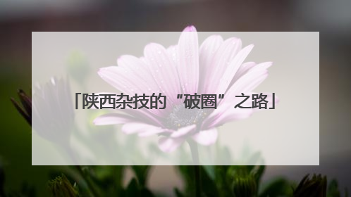 陕西杂技的“破圈”之路