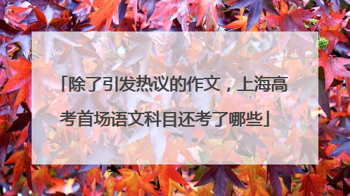 除了引发热议的作文，上海高考首场语文科目还考了哪些