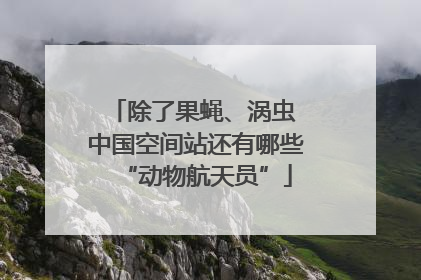 除了果蝇、涡虫 中国空间站还有哪些“动物航天员”
