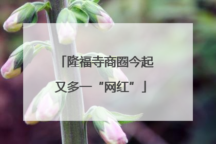隆福寺商圈今起又多一“网红”