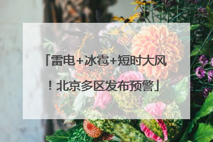 雷电+冰雹+短时大风！北京多区发布预警