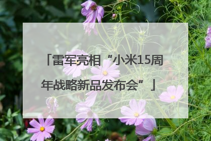 雷军亮相“小米15周年战略新品发布会”