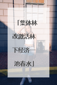 集体林改激活林下经济一池春水