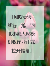 风吹麦浪一线行｜抢！河北小麦大规模机收作业正式拉开帷幕