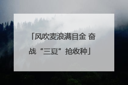 风吹麦浪满目金 奋战“三夏”抢收种