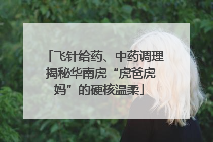 飞针给药、中药调理 揭秘华南虎“虎爸虎妈”的硬核温柔