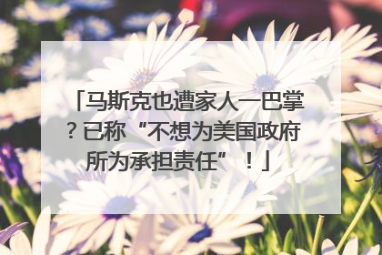 马斯克也遭家人一巴掌？已称“不想为美国政府所为承担责任”！