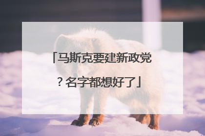 马斯克要建新政党？名字都想好了