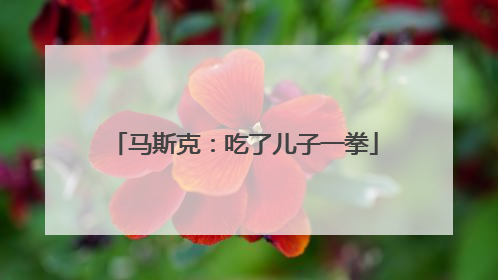马斯克：吃了儿子一拳