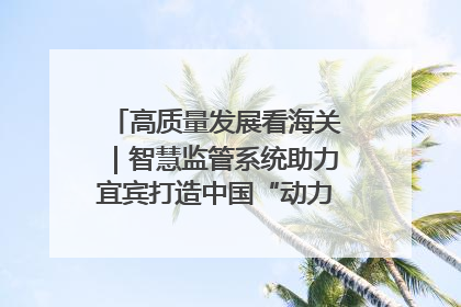 高质量发展看海关｜智慧监管系统助力宜宾打造中国“动力电池之都”
