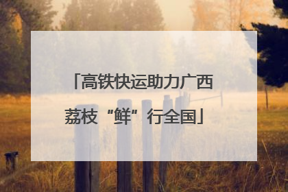 高铁快运助力广西荔枝“鲜”行全国