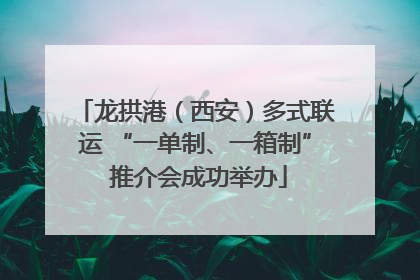 龙拱港（西安）多式联运 “一单制、一箱制” 推介会成功举办