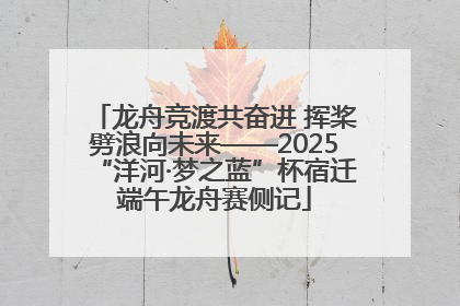 龙舟竞渡共奋进 挥桨劈浪向未来——2025“洋河·梦之蓝”杯宿迁端午龙舟赛侧记
