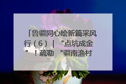 鲁疆同心绘新篇采风行（6）｜“点坑成金”！疏勒 “疆南渔村” 从废弃坑塘变身全国垂钓胜地