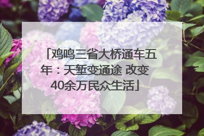 鸡鸣三省大桥通车五年：天堑变通途 改变40余万民众生活