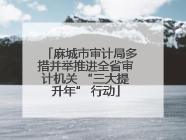 麻城市审计局多措并举推进全省审计机关 “三大提升年” 行动