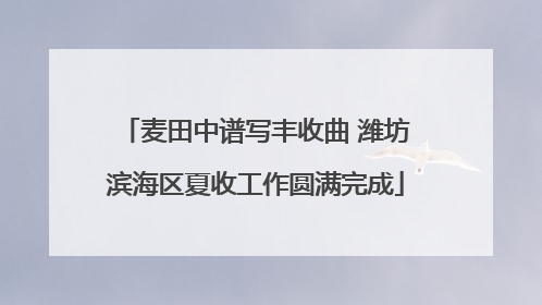 麦田中谱写丰收曲 潍坊滨海区夏收工作圆满完成